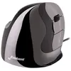 Evoluent D Small Souris ergonomique USB laser noir,argent ergonomique