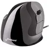Evoluent VerticalMouse D - Droitier Filaire USB - Moyen