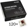 Glorious Gateron Switches x120 (Marron)