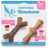 Benebone PUPPY DENTAL PACK - Jouet à mastiquer spécial chiot au goût de Bacon
