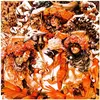 Baroness Gold & Grey Double Vinyle Vinyle album