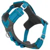 Animal Boulevard Kurgo Harnais pour Chiens Journey Air, pour la randonnée, courir et marcher tous les jours, réfléchissant   Bleu/gris - Taille M