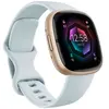 Fitbit Sense 2 Numérique Écran tactile Or GPS (satellite)