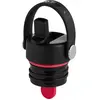 Hydro Flask Standard Flex Straw Bouteille noir Uni