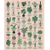 Galison Puzzle 1000 pièces : Plantes d'intérieur