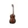 Kala Ka-Tg Avec Housse Tenor Gloss Mahogany