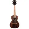 Kala KA-EBY-C Concert Striped Ebony