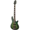 Schecter Daniel Firth Hellraiser Extreme-5 basse électrique Cthulhu Bu...