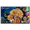 SYLVOX Frameless-55 (140cm) TV Extérieur-TV 4K UHD-IP56 étanche-1000Ni...