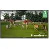 SYLVOX Framelesspro-TV Extérieur-55 (140cm)-Télé Hyper Lumineuse 2000N...