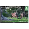 SYLVOX Framelesspro-TV Extérieur-65 (165cm)-Télé Hyper Lumineuse 2000N...