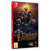 Nintendo Switch Darkest Dungeon Ii