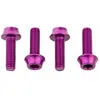 Wolf Tooth Vis De Porte-bidon M5 X 15 Mm 4 Unités One Size