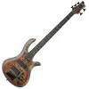 Schecter Riot-5 Inferno Burst Basse 5 cordes