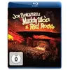 Wagram Musiccnt Muddy Wolf at Red Rocks - Blu Ray