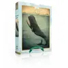 New York Puzzle Company Pièces XXL - Dream World - Leviathan Below
