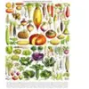 New York Puzzle Company Vegetables - Légumes