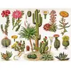Puzzle 1000 pièces : cactus