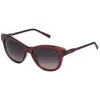 Lunettes de soleil Homme Sting SST010530AGW (ø 53 mm)