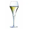 CHEF&SOMMELIER LOT DE 6 FLUTES A CHAMPAGNE 21 CL AROM UP - CHEF ET SOMMELIER