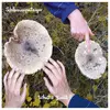 Pingipung What's Fruit? Remixes