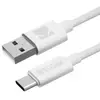 Câble USB vers USB-C Kodak - Connectivité fiable