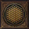 Columbia LP  de Bring Me The Horizon - Sempiternal - pour Unisexe - Standard Standard