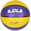 Ballon Nike Playground 2.0 8P L James Deflated Multicolore Taille 7 DO8262-575