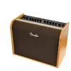Fender Acoustic 100   ampli guitare acoustique