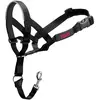 THE COMPANY OF ANIMALS Licol Halti, noir taille 2 beagle, border collie, caniche - pour chien
