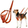 Harnais anti-traction Halti pour chien orange M