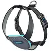 CarSafe harnais pour chiens, noir XS 40-52cm