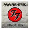 RCA FOO FIGHTERS - GREATEST HITS : 180 GRAM VINYL 2LP SET