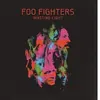 RCA LP - Sony - Wasting light - Foo Fighters - Boitier Cristal - 2 CD