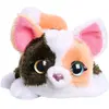 Hasbro Robot Interactif Furreal Pet My Mini´s