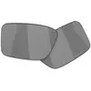 Oakley Verres De Rechange Heliostat Prizm Polarized