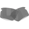 Oakley Verres De Rechange Flak 2.0 Xxl Prizm Black/CAT3