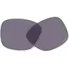 Oakley Verres De Rechange Paracord Prizm Grey/CAT3