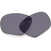 Oakley Verres De Rechange Lateralis
