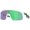 Oakley Lunettes De Soleil Resistor Pour Jeunes Prizm Jade/CAT3