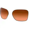 Oakley Verres De Rechange Wildrye Prizm