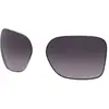 Oakley Verres De Rechange Wildrye Prizm Gradient Polarized