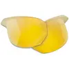 Oakley Verres De Rechange Kaast Prizm
