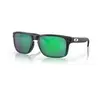 Oakley Holbrook - Lunettes cyclisme - vert/noir