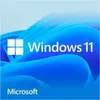 Système d'exploitation - Microsoft - Windows 11 Home - 64bit - DVD - Français