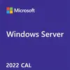 Microsoft Windows Server CAL 2022 Licence d'accès client 1 licence(s)