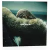 PARKWOOD ENTERTAINME Sony 88985446751 - CD - VINYLE VARIETE INTERNATIONALE - Lemonade