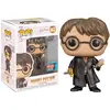 Funko Figurine Funko Pop - Harry Potter N°147 - Harry Potter (67051)