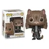Figurine Funko Pop! Harry Potter : Hermione en chat