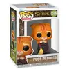 Figurine Funko Pop Movies Shrek DreamWorks 30th Puss in Boots
